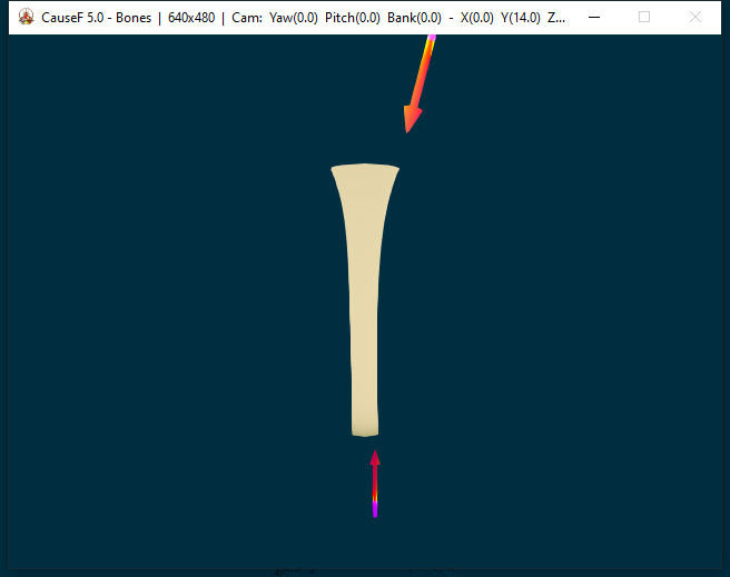 sample C - Bones